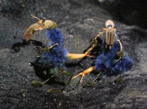 the villains of the week in their "true" pipe-cleaner form